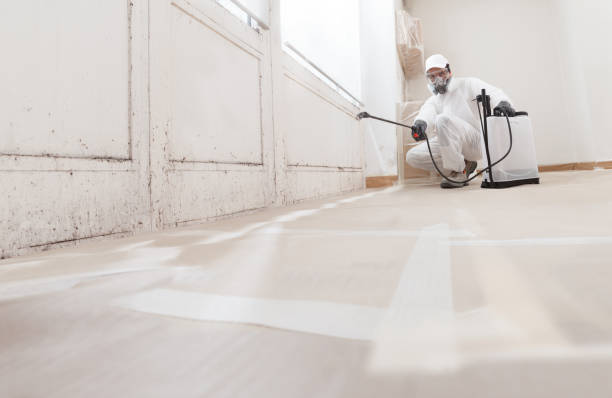 Post-remediation clearance in College Park